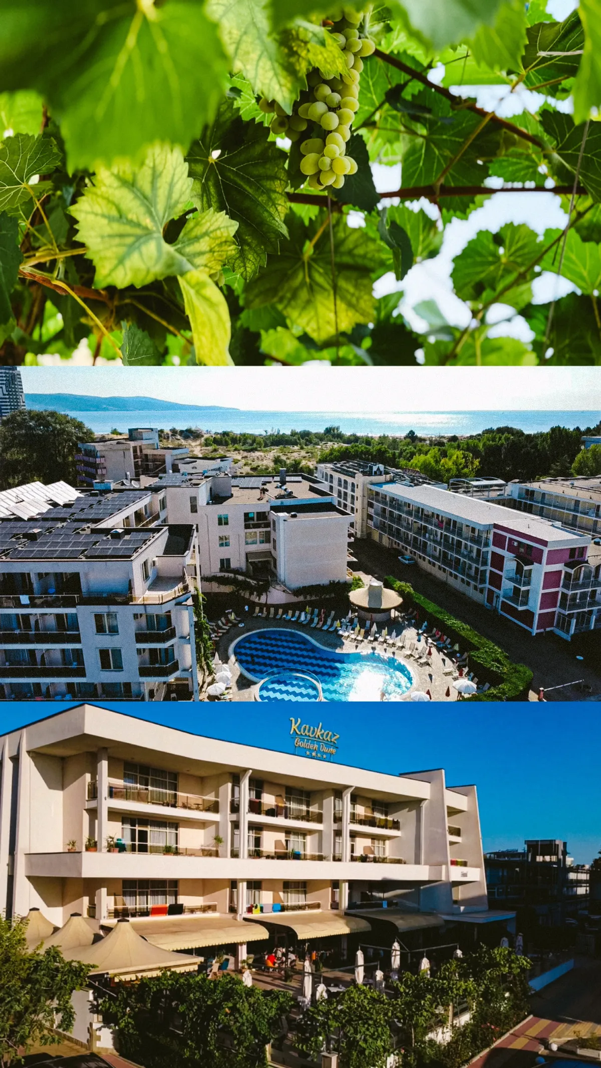 Hotel exterior with pool and grapevines